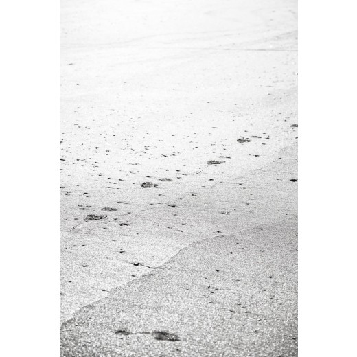 BloksbeALTUMMarshHerbs20grfraIbLaursen-01